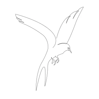 Flying Swallow "One-Line Swallow Drawing: A Minimalist Approach to Capturing Swift Flight"