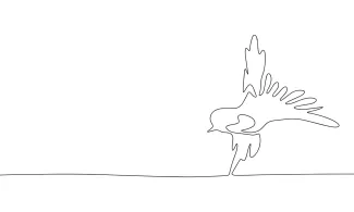 Swallow "One-Line Swallow Drawing: A Minimalist Approach to Capturing Speed and Grace"