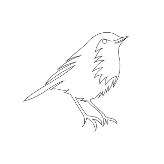 Tailor Bird One-Line Tailor Bird Drawing: Practice Tiny Forms and Sharp Outlines in Simple Art