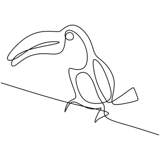 Toucan Head With Big Beak One Line Toucan Head Drawing: Understand Big Beaks with Quick, Clear Sketches