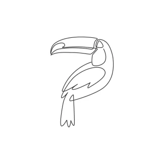 Toucan Beautiful Exotic Bird With Peak "Minimalist One Line Toucan Drawing: Capturing the Vibrancy of an Iconic Jungle Bird"