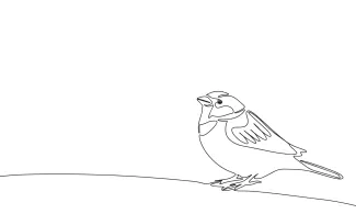 Little Bird Titmouse "One-Line Titmouse Drawing: A Minimalist Study of a Small, Lively Songbird"