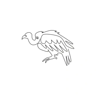 Mystery Vulture Griffon Bird One Line Griffon Vulture Drawing: Explore Mysterious Bird Shapes in Simple Form