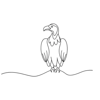 Vulture bird "Minimalist Vulture Drawing: A One Line Approach to Unique Bird Forms"