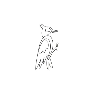 Beauty Woodpecker Little Cute Bird One Line Beautiful Woodpecker Drawing: Practice Small Bird Features in Simple Steps