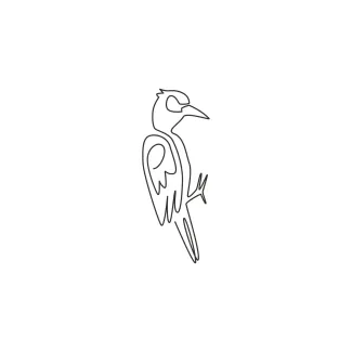 Cute Woodpecker Beak Drummer Bird One Line Woodpecker Sketch: Learn Basic Bird Shapes with an Easy Drumming Bird