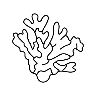 coral-cnidaria-invertebrate-sea-animals-one-line-continuous-drawing-0005.png