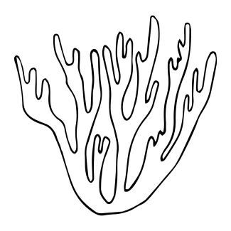 coral-cnidaria-invertebrate-sea-animals-one-line-continuous-drawing-0009.png