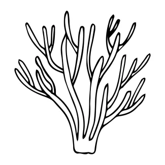 coral-cnidaria-invertebrate-sea-animals-one-line-continuous-drawing-0010.png