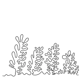 coral-cnidaria-invertebrate-sea-animals-one-line-continuous-drawing-0013.png