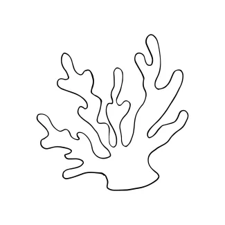 coral-cnidaria-invertebrate-sea-animals-one-line-continuous-drawing-0015.png