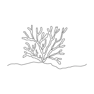coral-cnidaria-invertebrate-sea-animals-one-line-continuous-drawing-0029.png