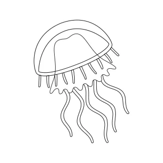jellyfish-cnidaria-invertebrate-sea-animals-one-line-continuous-drawing-0001.png