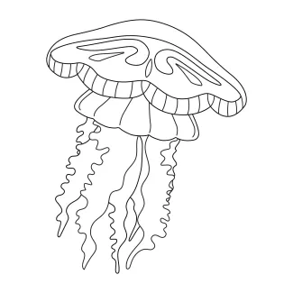 jellyfish-cnidaria-invertebrate-sea-animals-one-line-continuous-drawing-0002.png