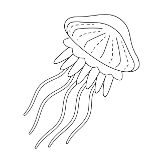 jellyfish-cnidaria-invertebrate-sea-animals-one-line-continuous-drawing-0003.png