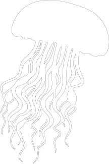 jellyfish-cnidaria-invertebrate-sea-animals-one-line-continuous-drawing-0019.png