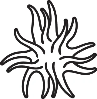 sea-anemone-cnidaria-invertebrate-sea-animals-one-line-continuous-drawing-0030.png