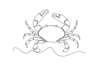 Big crab Big Crab One-Line Drawing Exercise to Practice Symmetry and Proportional Thinking