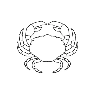 Crab Simple Crab Drawing in One Line to Help Kids Practice Creative Focus and Geometry