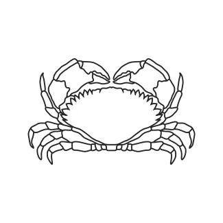Crab One-Line Crab Drawing for All Ages to Practice Spacing and Basic Animal Form