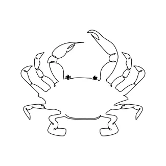 Crab Minimal Crab Art in One Line for Developing Visual Thinking and Shape Memory