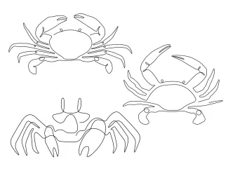 Three crabs Three Crabs One-Line Drawing to Explore Repetition and Spacing in Minimal Sketching