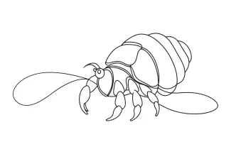 Hermit Crab One-Line Drawing for Practicing Unique Shell Shapes and Basic Features