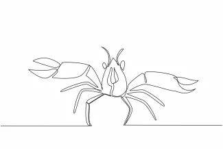 Crayfish Crayfish One-Line Drawing for Studying Long Shapes and Balanced Animal Forms