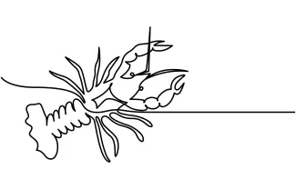 Lobster Crayfish One-Line Sketch to Explore Sea Creature Shapes with Simple Lines