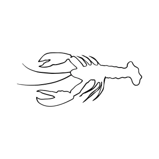 Crayfish One-Line Drawing to Strengthen Line Planning and Artistic Focus
