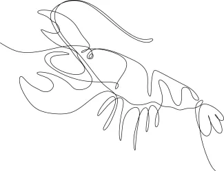 Crayfish Learn One-Line Crayfish Drawing: Simple Way to Study Nature-Inspired Forms