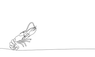 Shrimp One-Line Shrimp Art: Learn Minimalist Animal Drawing for Beginners
