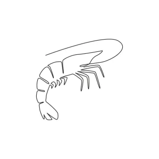 Draw a Big Shrimp in One Line: Perfect for Practicing Curves and Segment Details