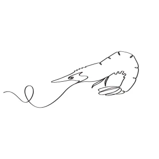 Shrimp Draw a Shrimp with One Line: Easy Creative Practice to Develop Observation Skills