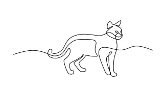 Continuous Line Cat Drawing – A Relaxing Way to Improve Artistic Coordination