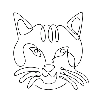  Line Kitten Face Drawing – Learn to Outline Sharp Eyes and Soft Features Easily