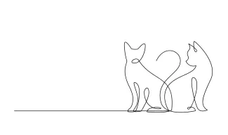  Line Drawing of a Cat – Improve Your Art with Easy and Fun Practice