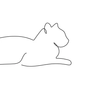  Line Cat Drawing for Kids and Adults – Learn to Create with Confidence
