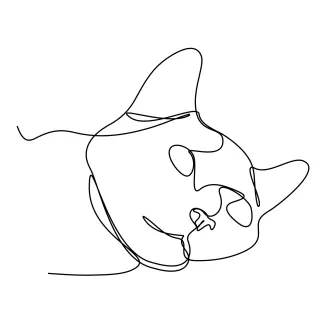 One Line Cat Drawing for Creative Practice: Easy Art for Animal Lovers