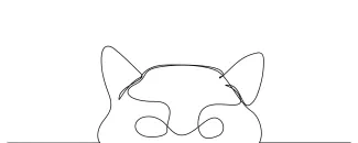 Draw a Cat in One Line: Easy Practice for Home or Classroom Art
