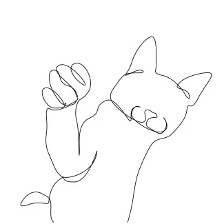 One Line Cat Drawing: Improve Shape Memory and Build Drawing Routine
