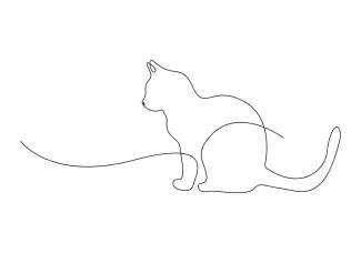 Cat Line Cat Drawing for All Ages: Learn Animal Shapes with Simple Art