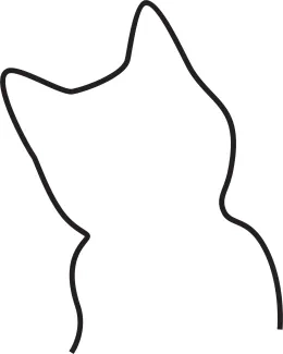 Cat  Line Art: Learn Simplicity in Drawing a Familiar and Friendly Pet