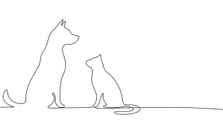  Line Drawing of a Dog and Cat: Practice Drawing Two Animals Together