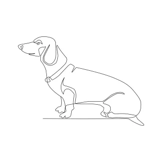 One Line Dachshund Drawing: Learn to Draw Long-Body Dogs in a Simple Way