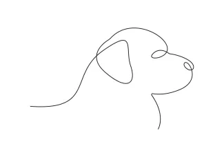 One-Line Dachshund Sketch: Long Dog, Short Legs, Simple Drawing