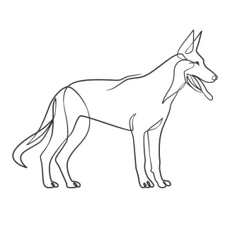 One Line Drawing of a Dog: Practice Animal Shapes with Simple, Easy Art