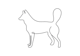 Drawing a Dog in One Line: A Quick Guide to Pet Art