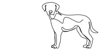 One Line Dog Drawing: Fun Art Activity for Pet Lovers