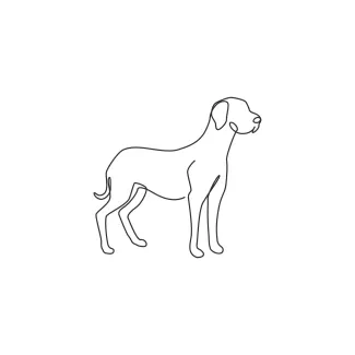 "One Line Great Dane Drawing: Expressing Elegance and Power with Minimalist Techniques"